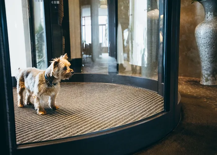 Barriere Le Royal 5* La Baule-Escoublac